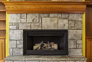 fireplace insert