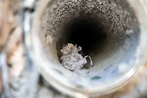 Have Your Dryer Vent Cleaned Out