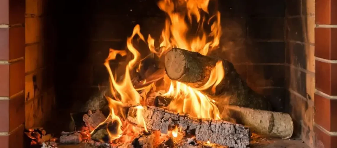 Wood Burning Fire Place