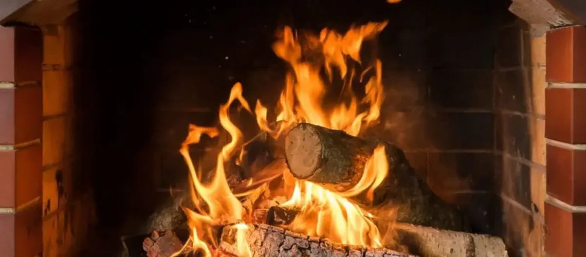 Wood Burning Fire Place